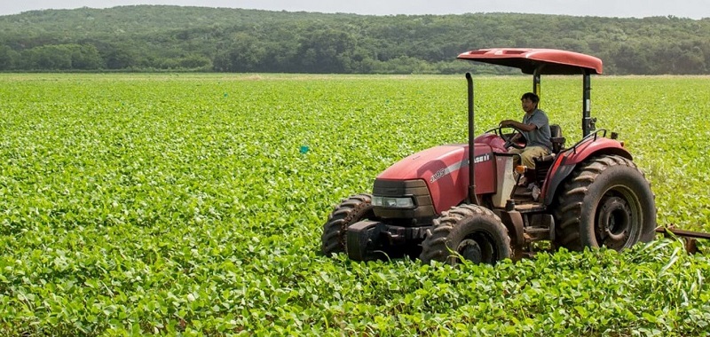 Este es el ejemplo de un texto alternativo